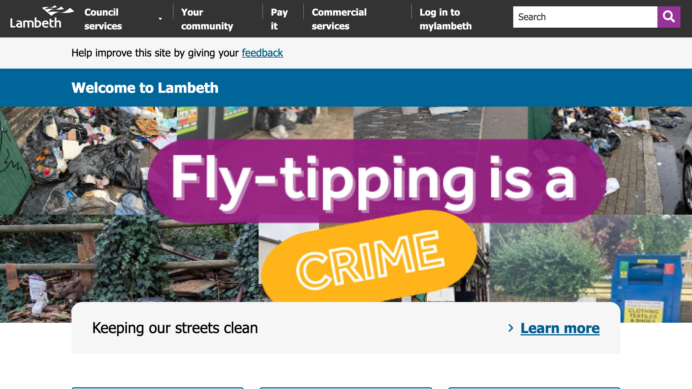 Lambeth website preview