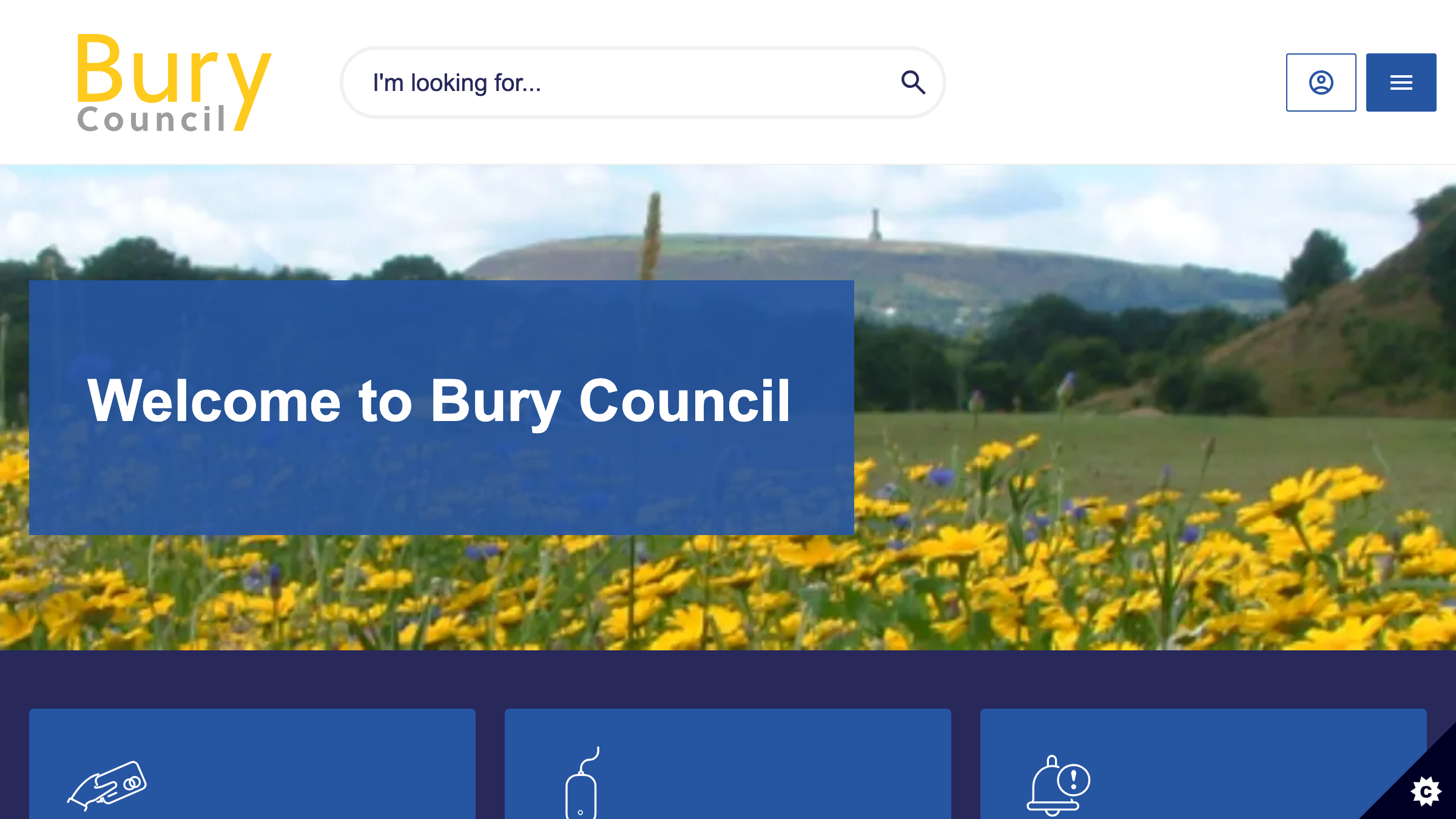 Bury website preview