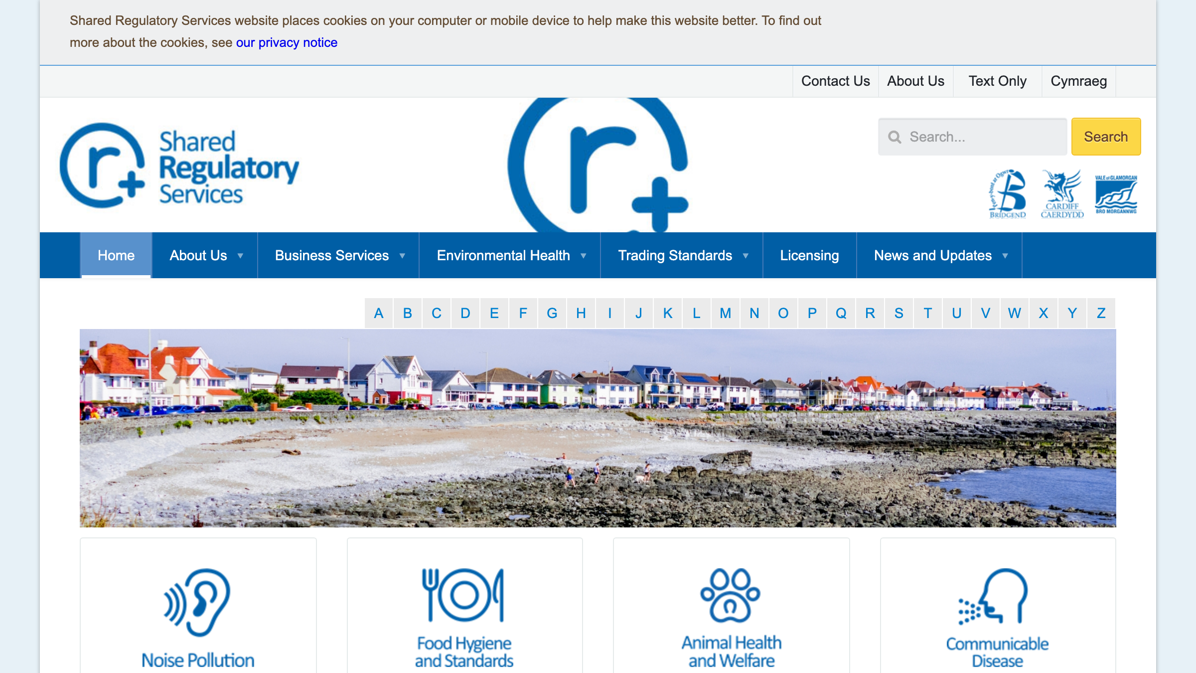 Cardiff website preview