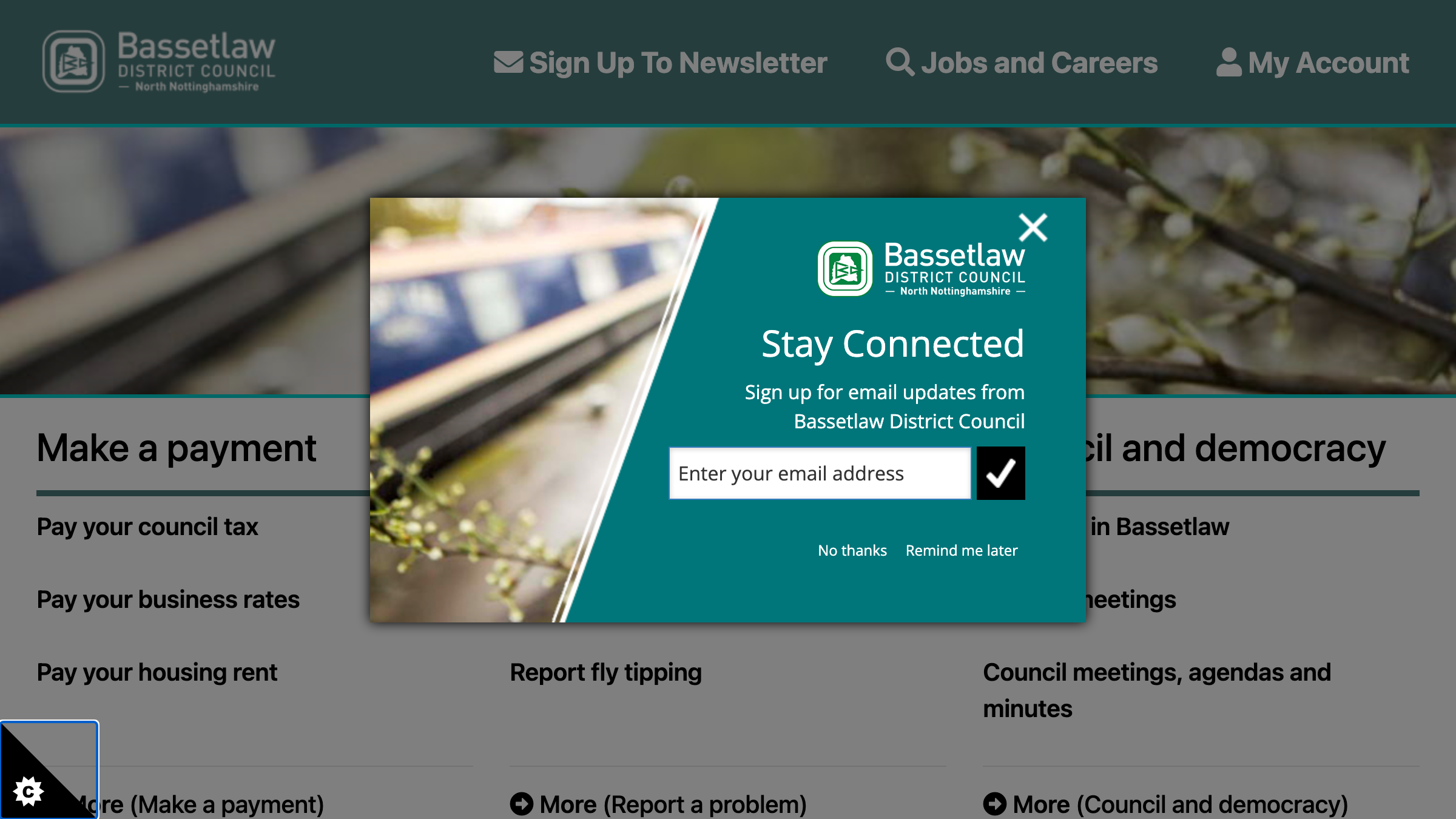 Bassetlaw website preview