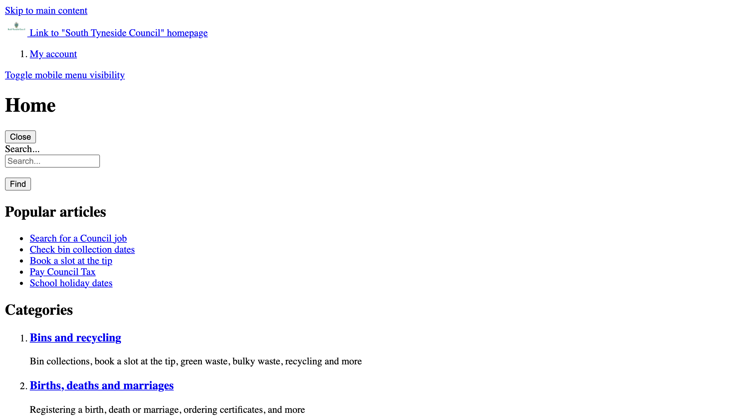 South Tyneside website preview