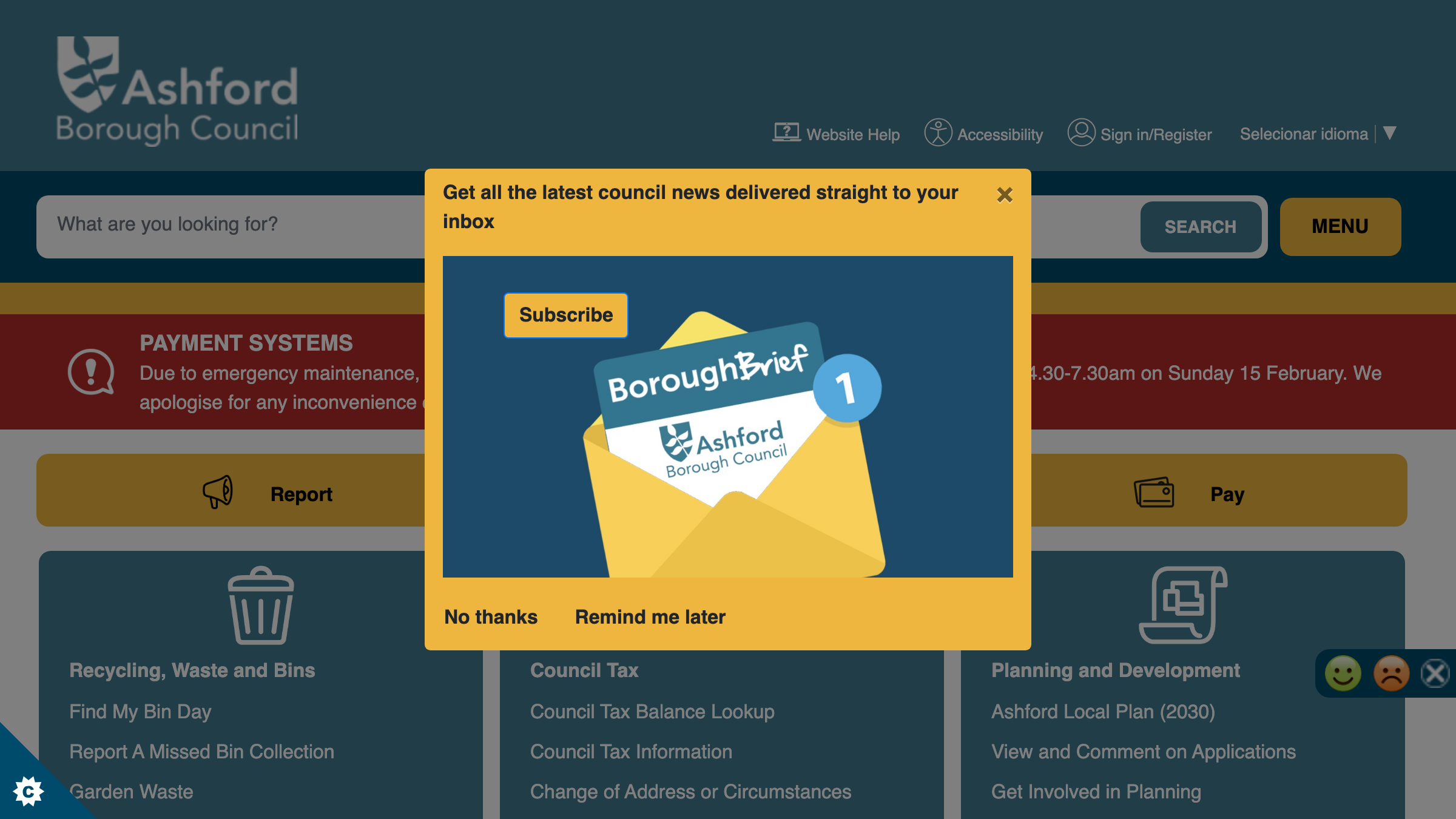 Ashford website preview