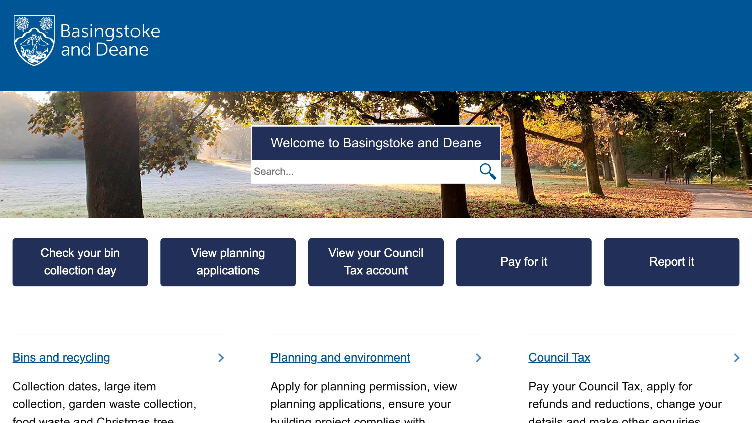 Basingstoke and Deane website preview