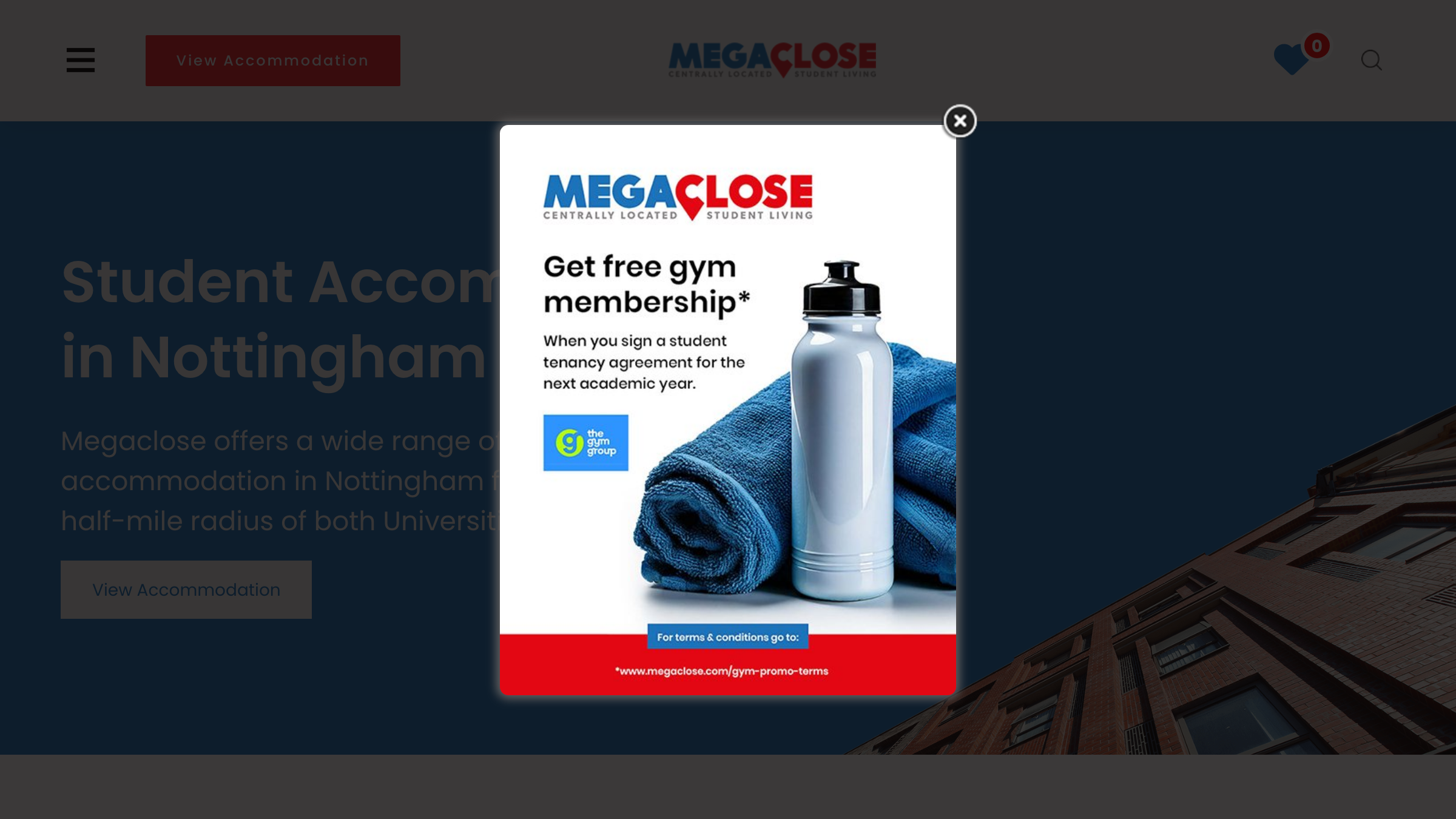 Megaclose page preview