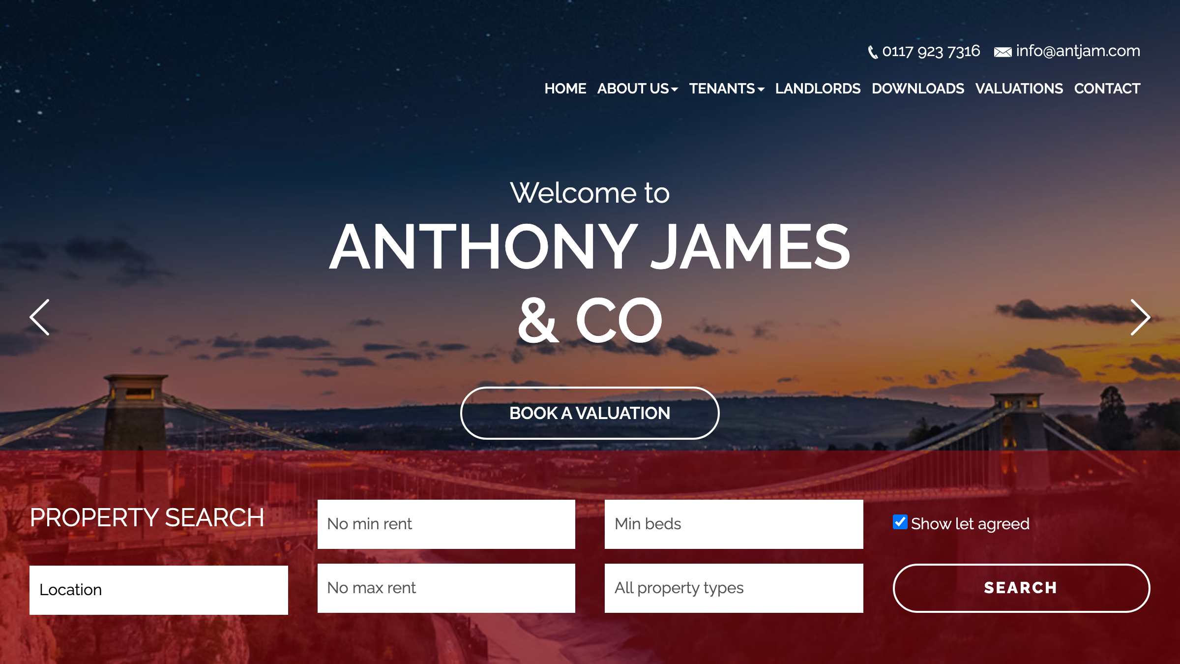 Anthony James & Co page preview
