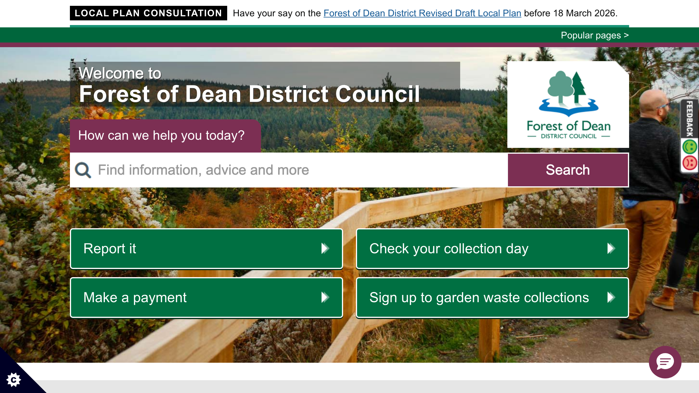 Forest of Dean website preview