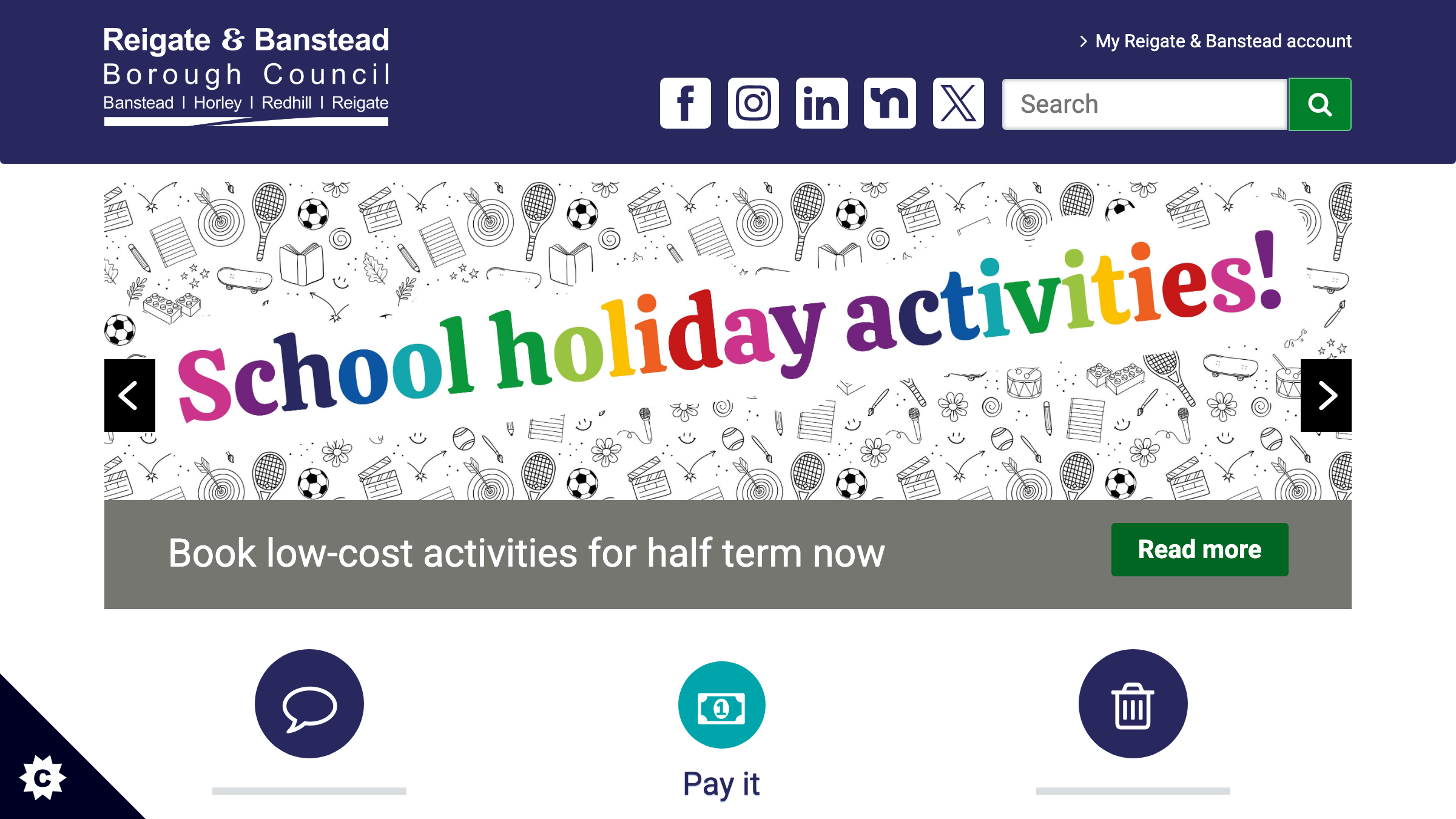 Reigate and Banstead website preview
