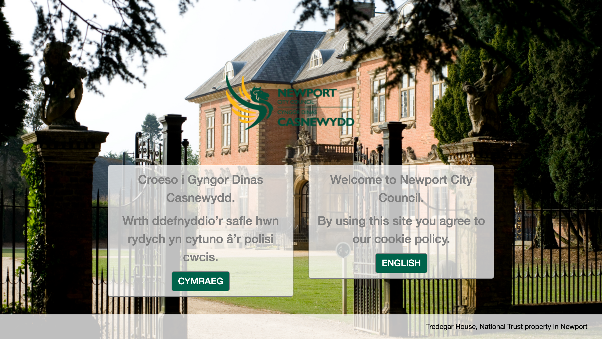 Newport website preview