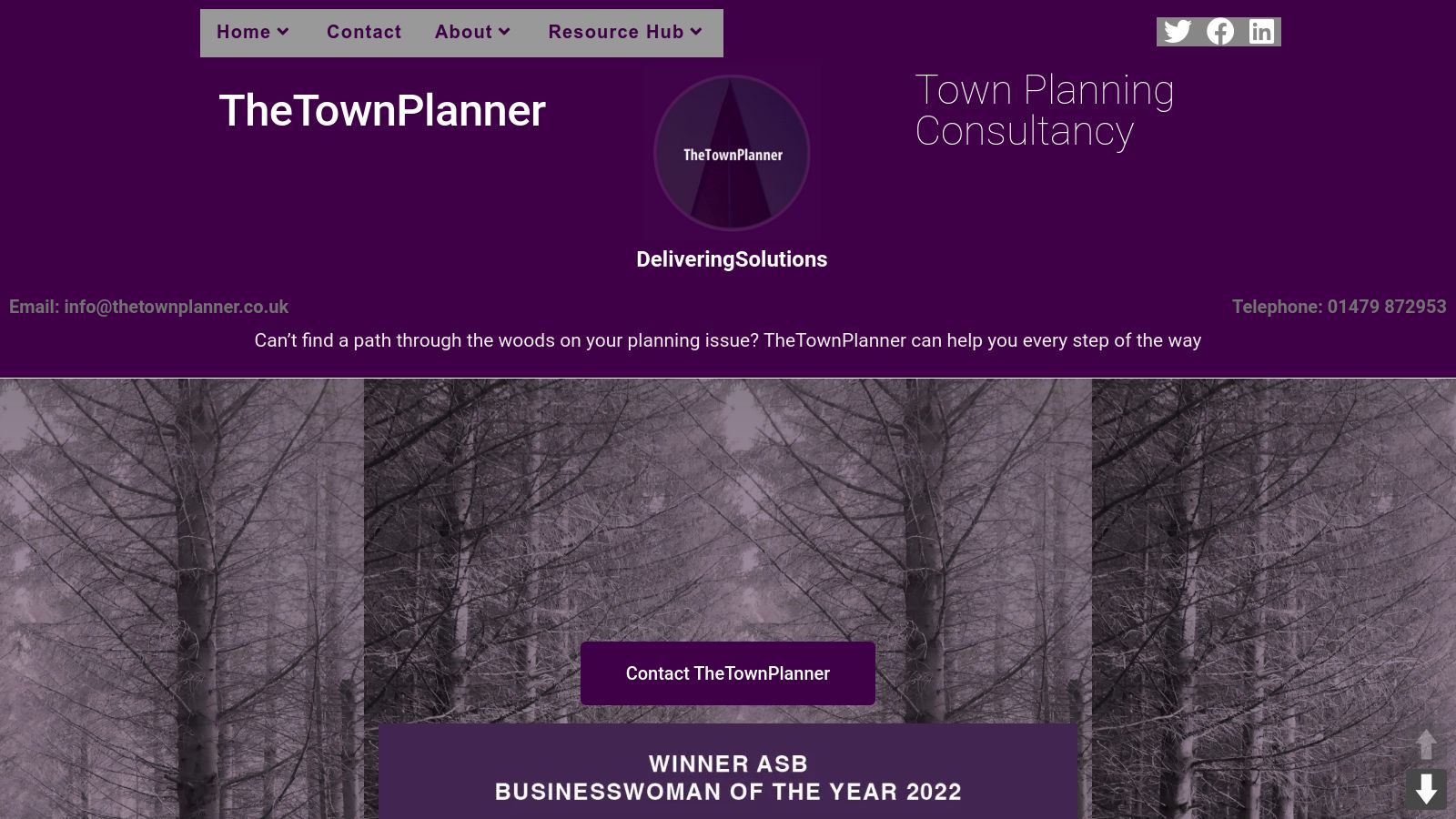 TheTownPlanner page preview
