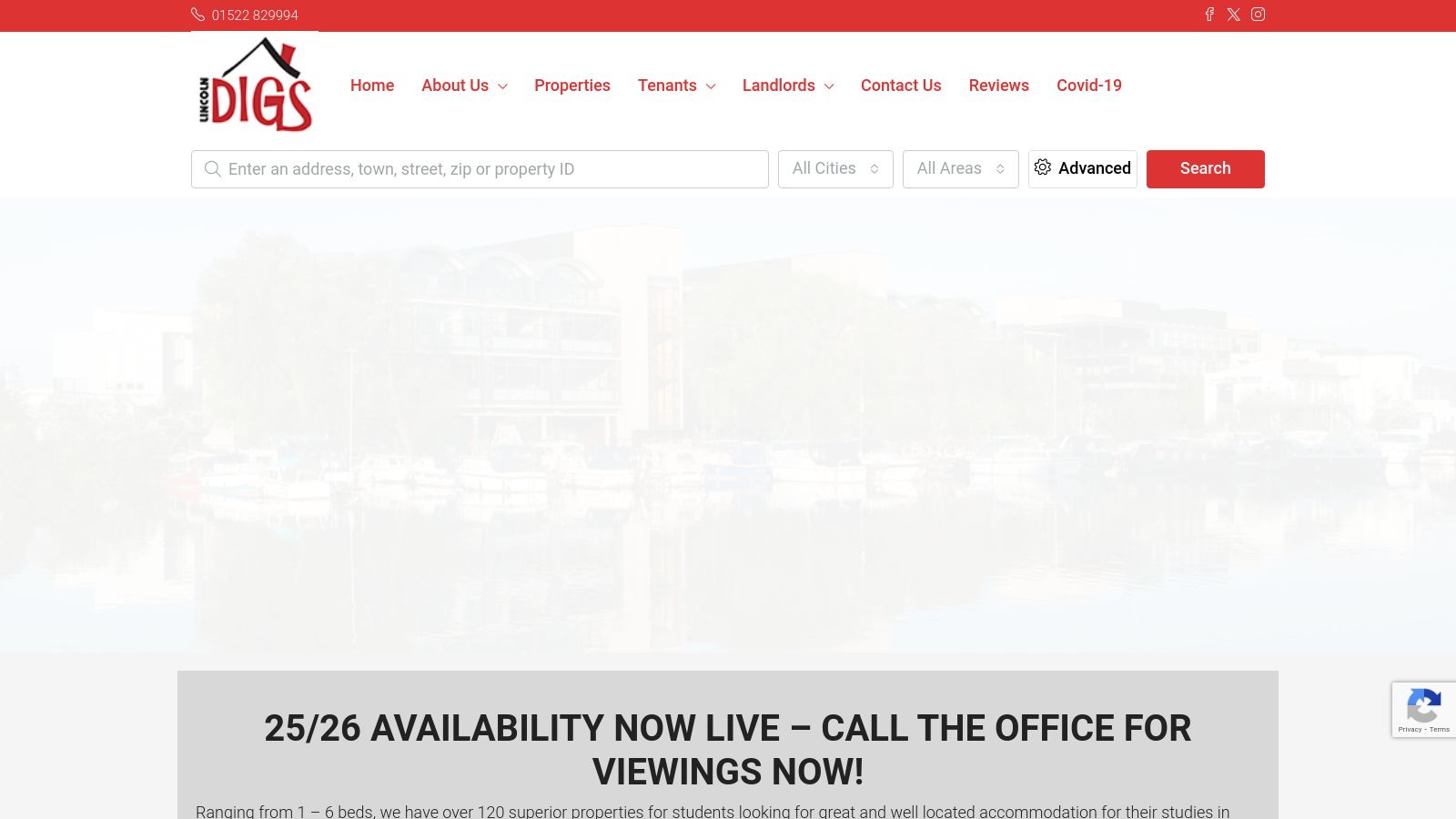 Lincoln Digs page preview