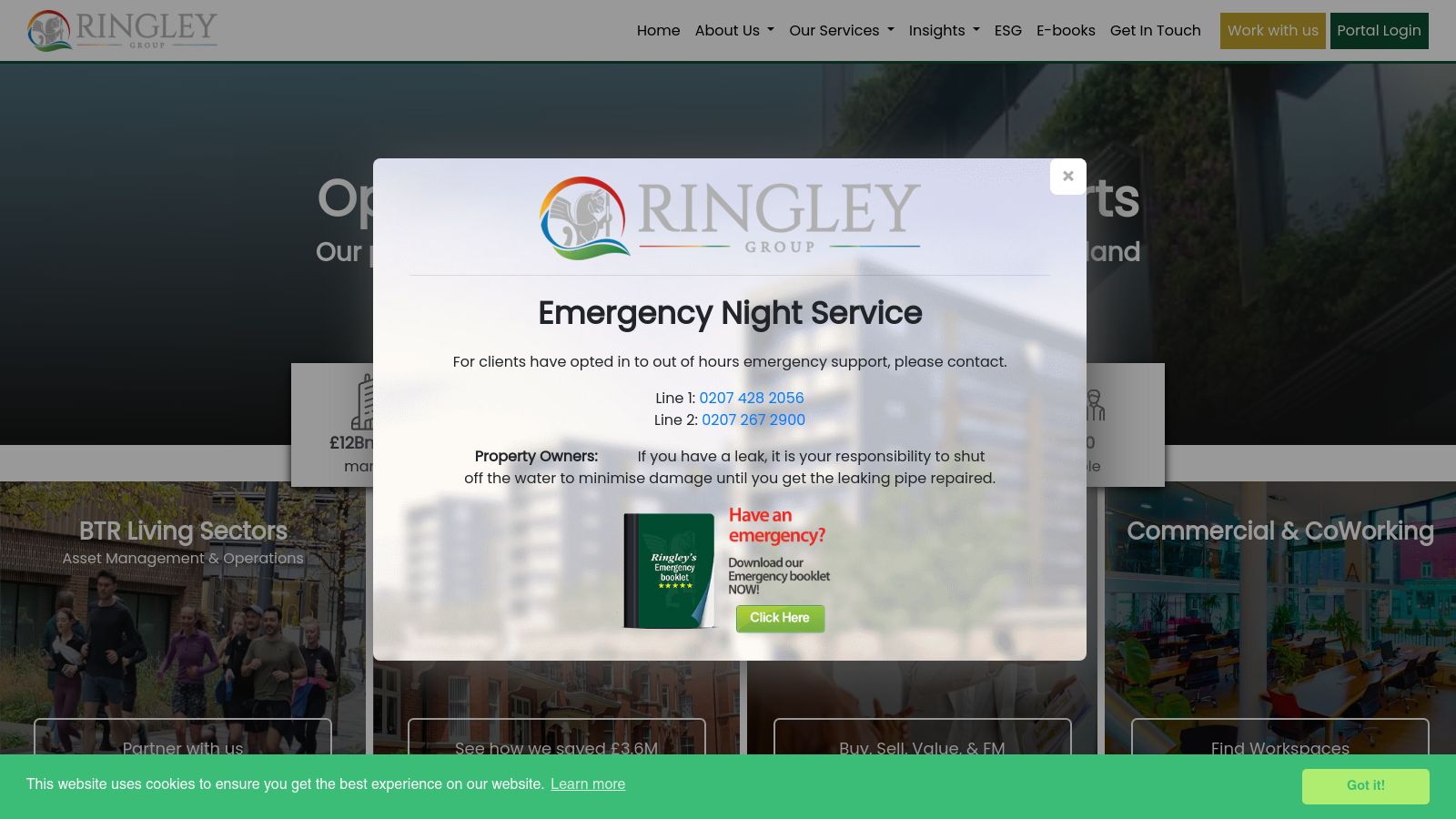 Ringley Group page preview