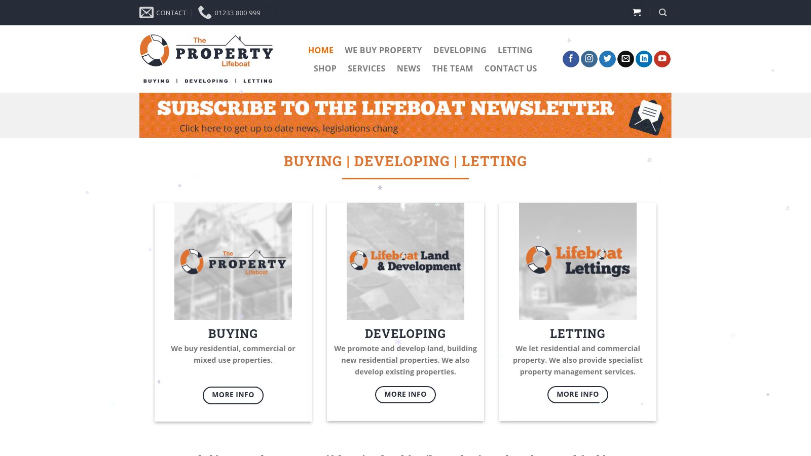 The Property Lifeboat page preview
