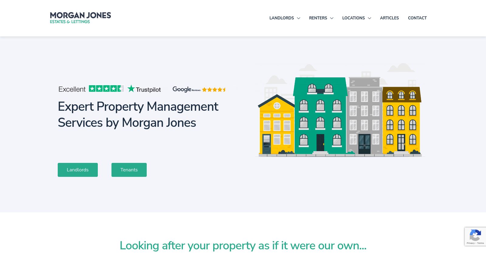 Morgan Jones Property page preview