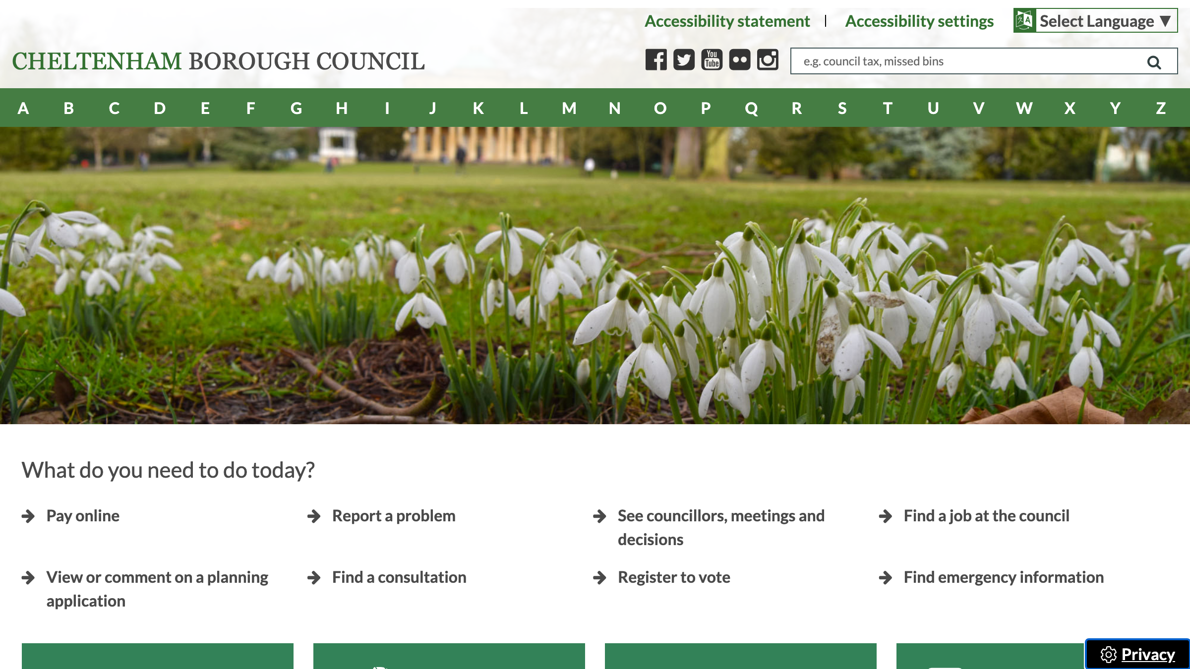 Cheltenham website preview